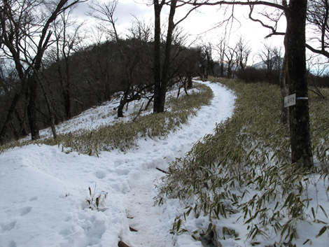 20170118hike (344)